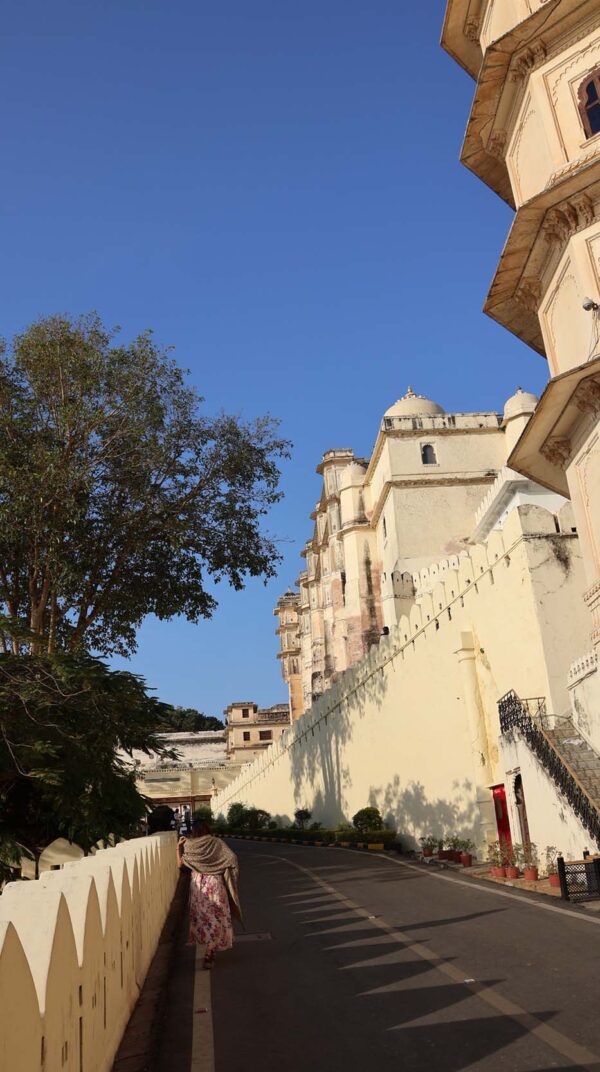 Photograph by Tajinder pal Singh Size 36x20inch Indian Heritage Monument  - Image 3