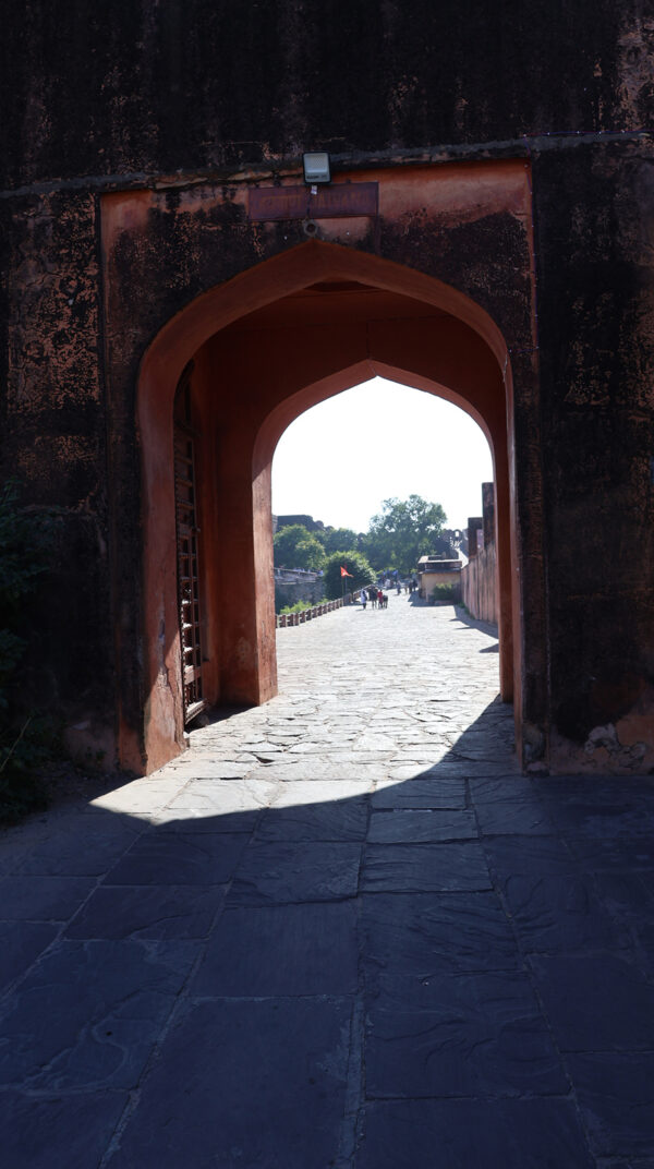 Photograph by Tajinder pal Singh Size 36x20 inch Indian Heritage Monument  - Image 3