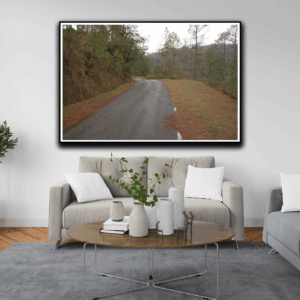 photoshoot By Tajinder pal singh Size 46x30  Medium Canvas print