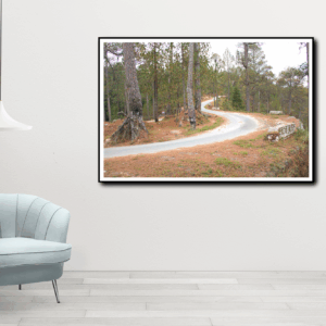 Photoshoot By Art Tajinder pal singh Size30x46 Medium Canvas print