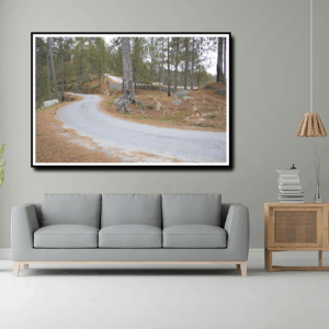 photoshoot By Tajinder pal singh Size 46x30  Medium Canvas print