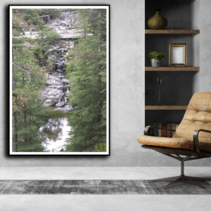 photoshoot By Tajinder pal singh Size 46x30  Medium Canvas print