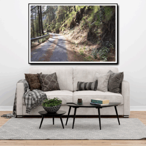 photoshoot By Tajinder pal singh Size 46x30  Medium Canvas print