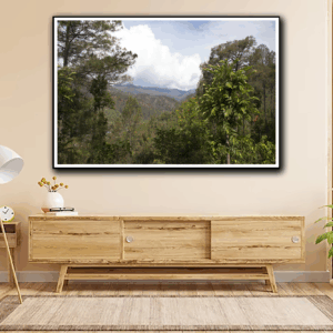 photoshoot By Tajinder pal singh Size 46x30  Medium Canvas print